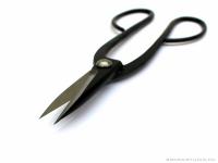 Hosszúnyelű olló tillandsiákhoz