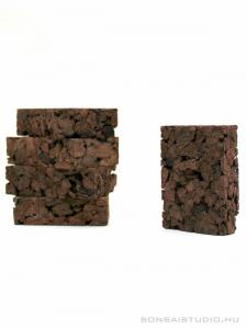 Tillandsia parafa 5db - epifita lap csomag 01.