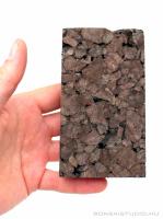 Tillandsia parafa - epifita lap 02.