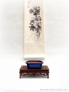 Bonsai kieg&eacute;sz&iacute;tő szett 01.
