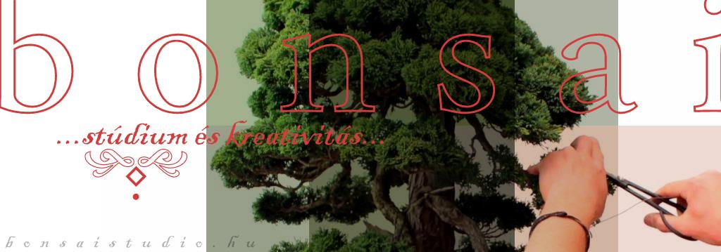 bonsai alakitasa gondozasa es nevelese