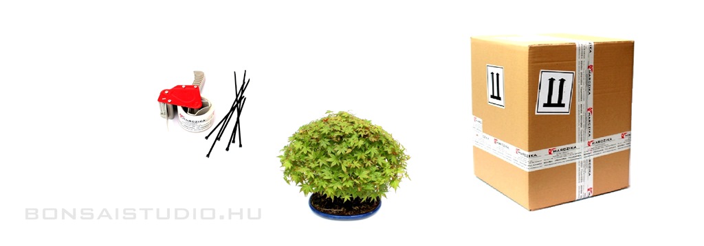bonsai szallitas hazhozszallitas rendeles