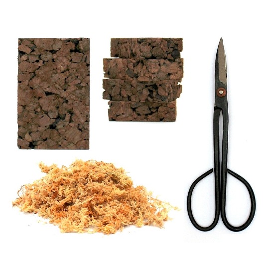 tillandsia kellekek es kiegeszitok tillandsia kerteszet es webaruhaz tillandsia garten garden webshop marczika erd hungary ungarn